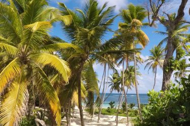 quand partir en Martinique