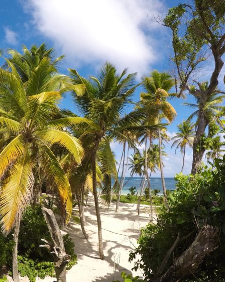 quand partir en Martinique