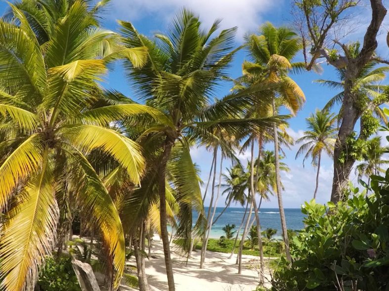 quand partir en Martinique