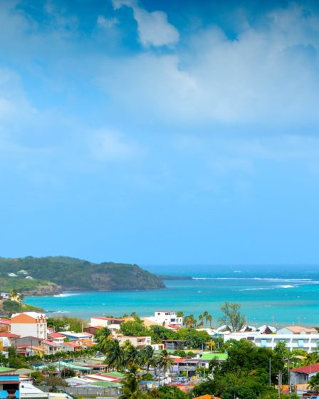 Comment défiscaliser efficacement grâce à l'immobilier en Martinique ?